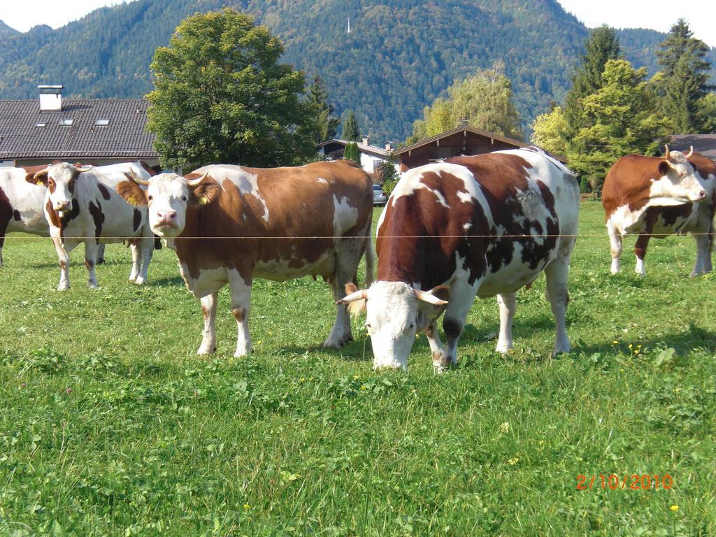 Familien-Bauernhof-Berghammer Роттах-Эгерн Экстерьер фото